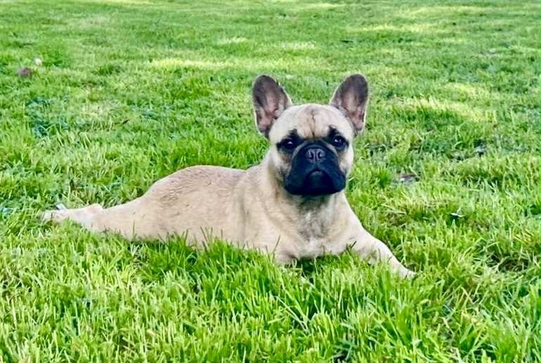 Venize du hameau de fontenay