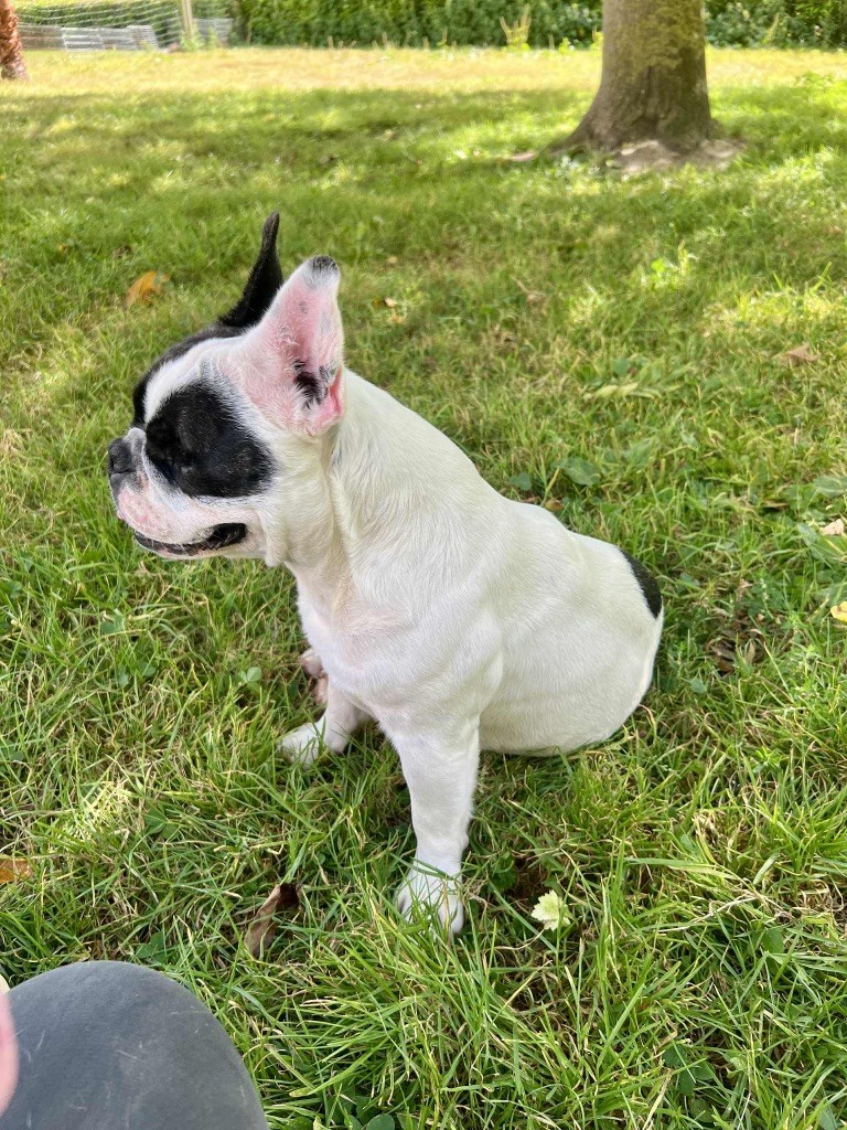 Uguette du hameau de fontenay