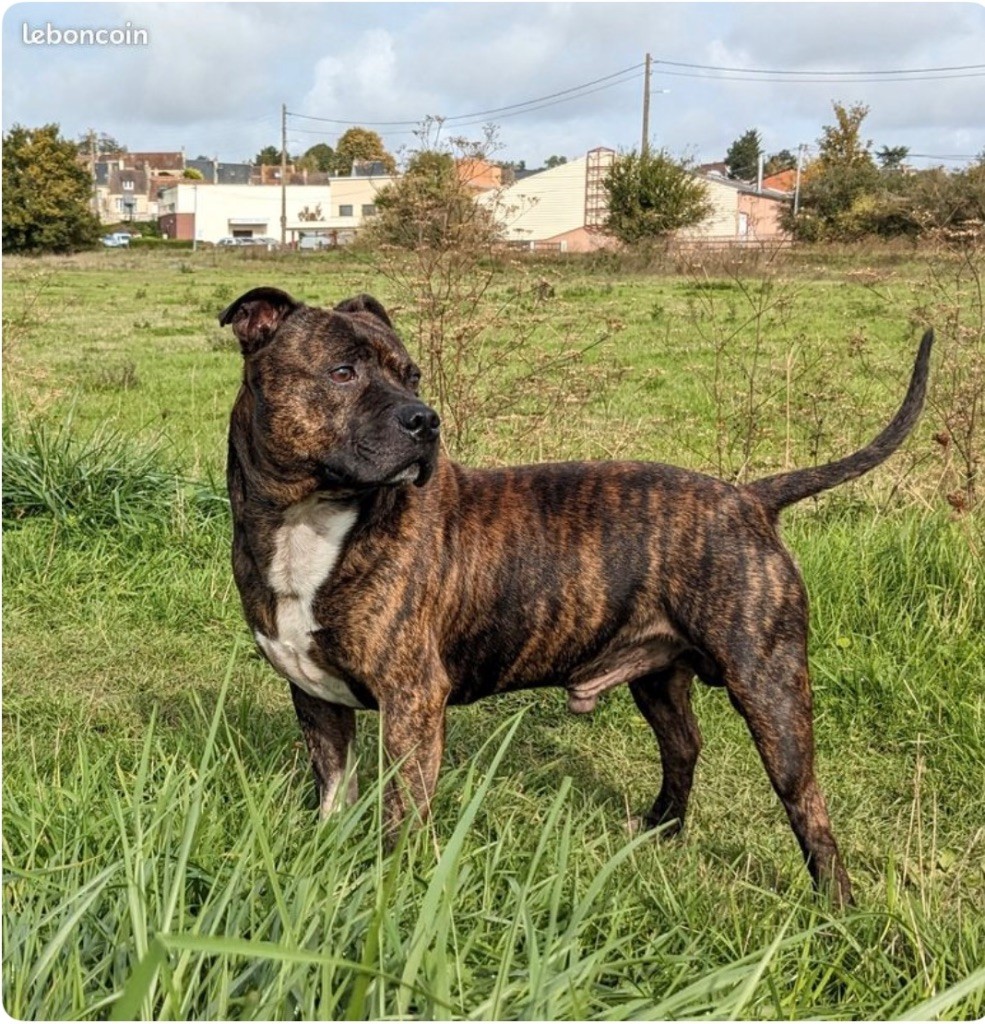 Oualou (Sans Affixe)