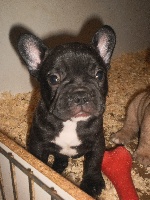 Fiona